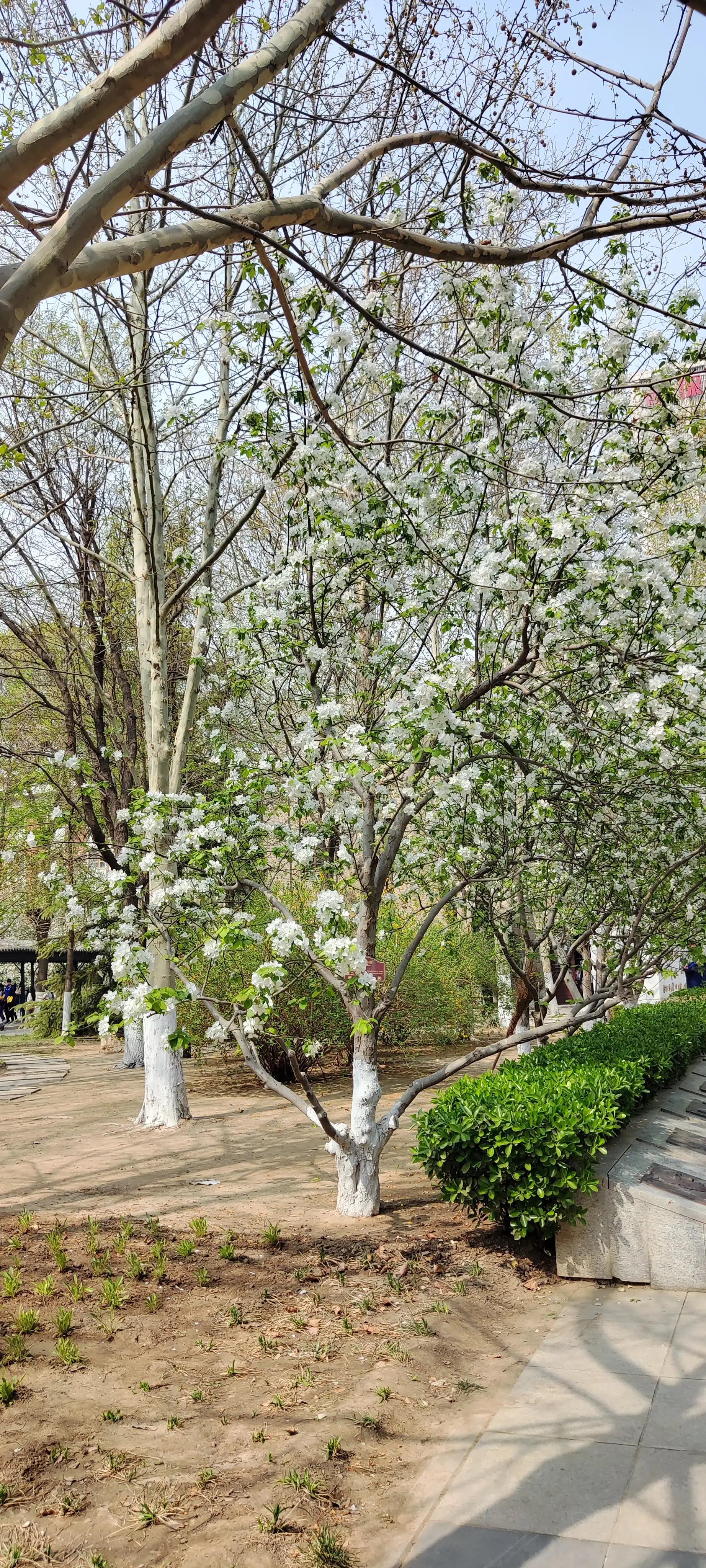 南开学校停车棚生产厂家,南开学校简介