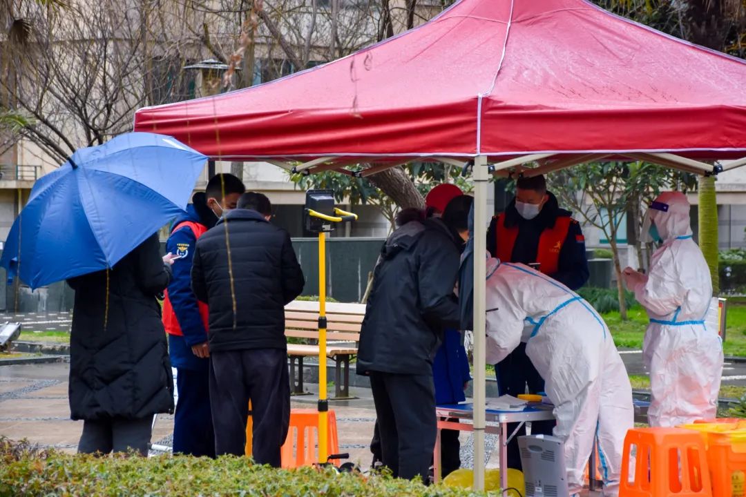 美丽盐亭我的家,美丽嘉兴