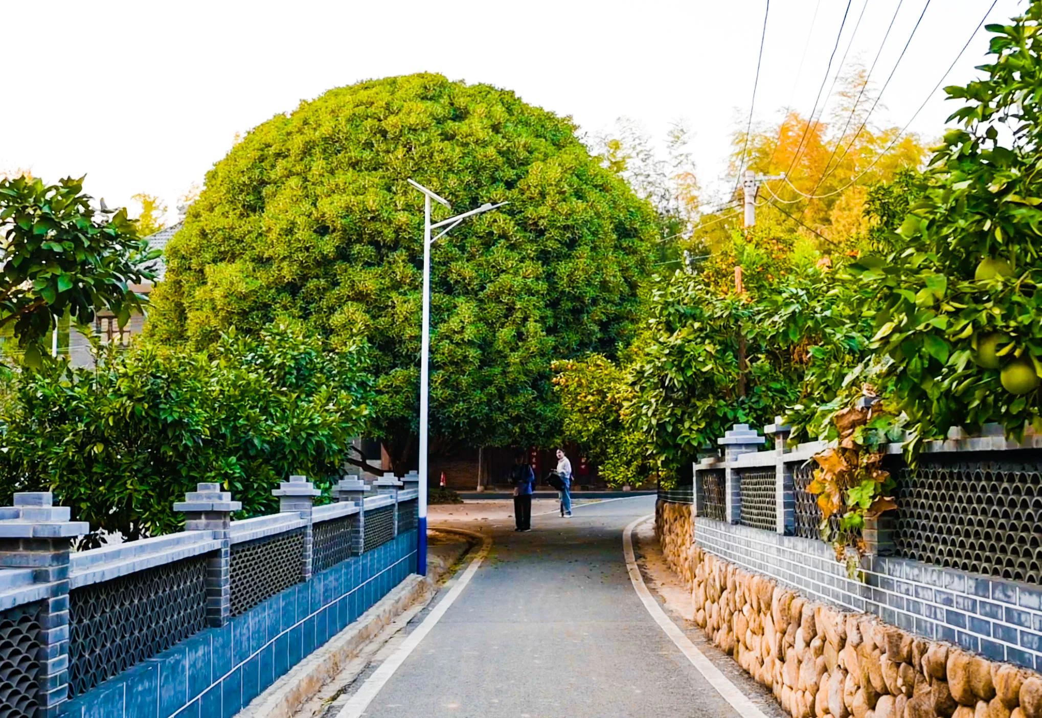 鄱阳湖边狮子山，风景如画，是个不错的休闲度假之地