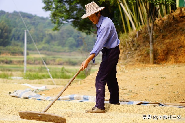 农村经济发展前后对比图,农村经济现状