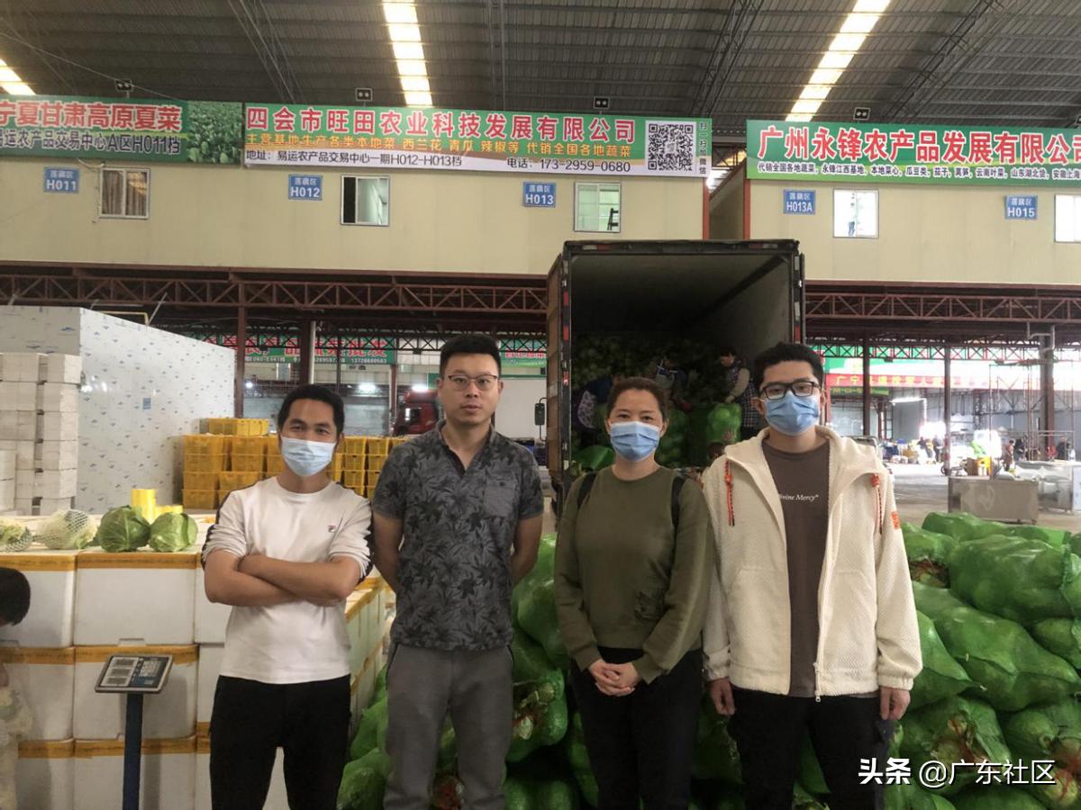 河南一周已售出4677吨滞销蔬菜,大量销售新鲜蔬菜