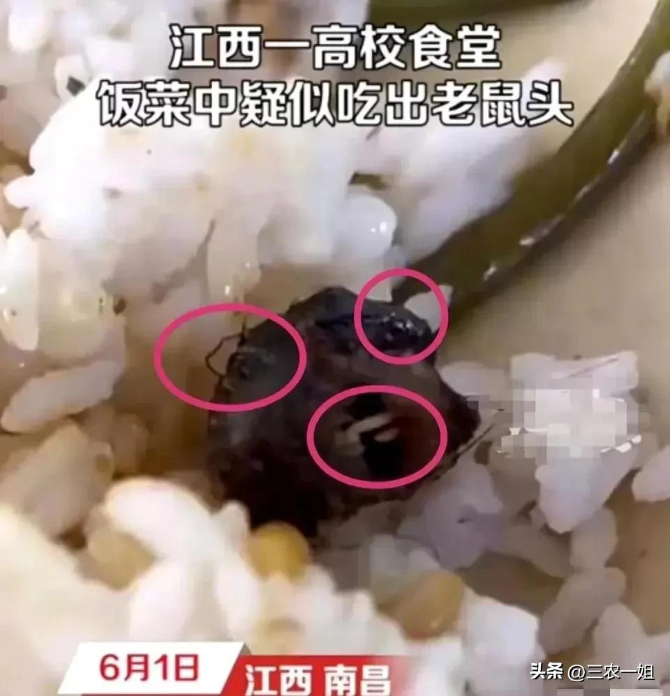 江西“指鼠为鸭”事件反转：专家答案来了！是鼠头是鸭脖？相信谁