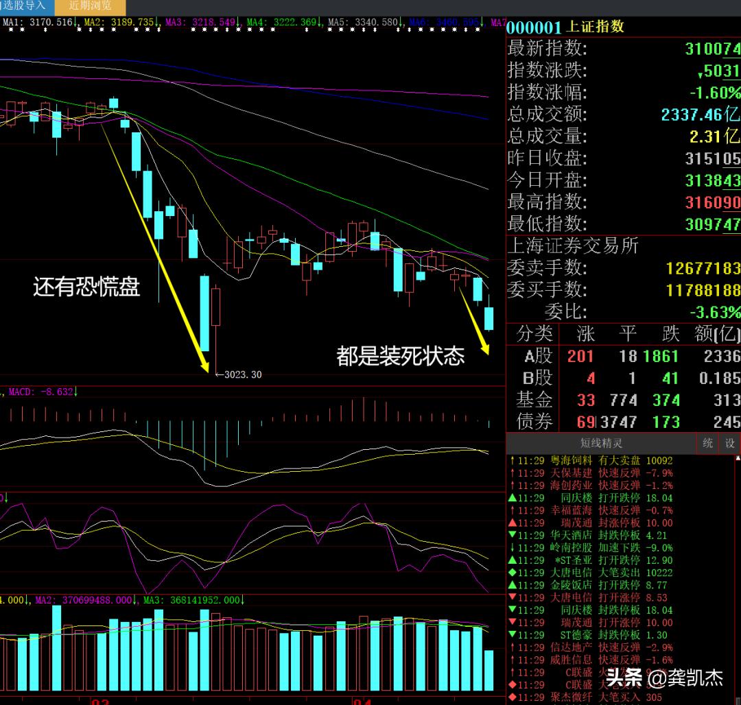 股市午评是护盘吗,股市午评上周五