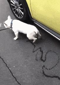 女孩子看见照片后就发个哈哈哈,姑娘不是什么照片都能随便发的