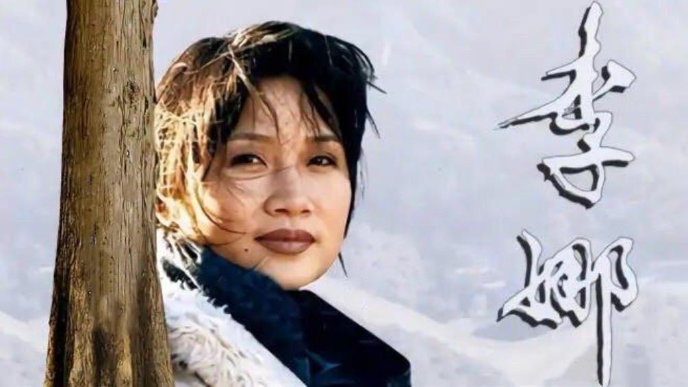 李娜为什么退出歌坛,李娜退出歌坛的真实原因