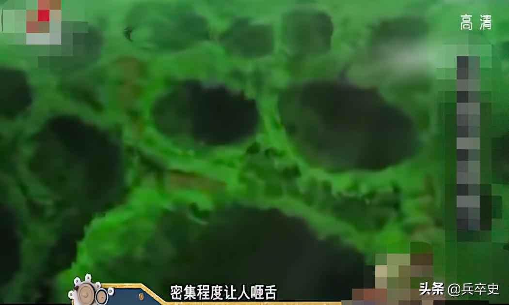 野猪林神秘事件,吉林野猪林灵异事件