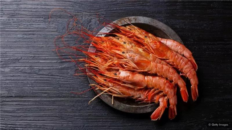 吃鱼对健康的好处,吃鱼究竟是否有益于健康