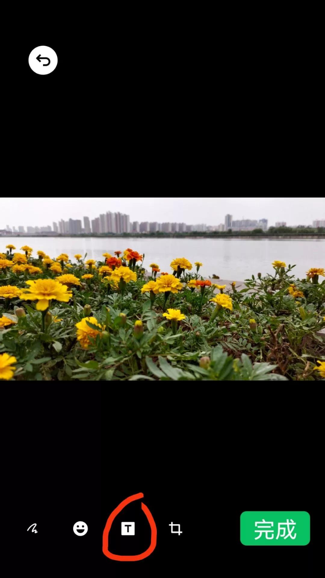 怎样制作问候图片,祝福语手工制作简单又漂亮