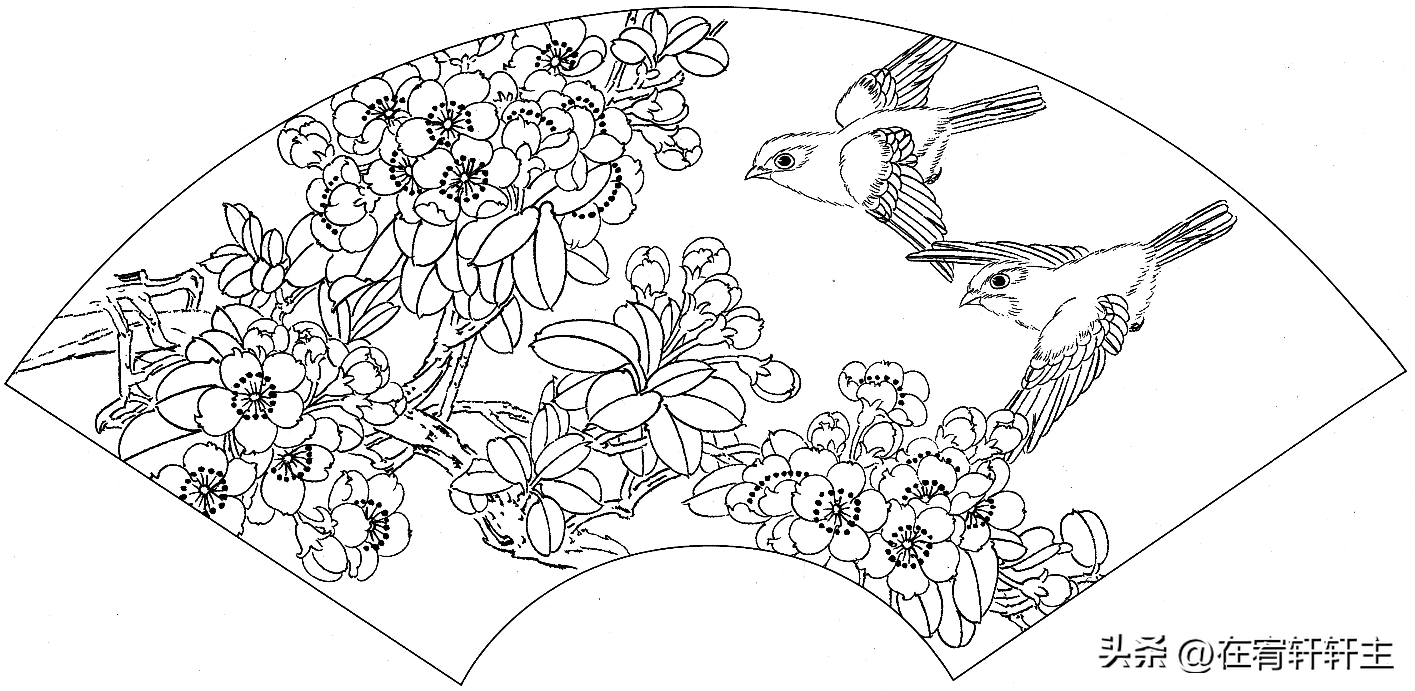 工笔白描祥云图案扇面,工笔扇面葡萄白描图片