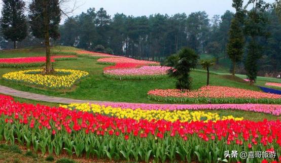 成都有什么好玩的地方推荐一下,成都有什么好玩的