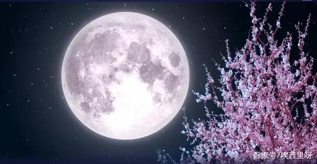 酒月二字飞花令,醉字飞花令诗句