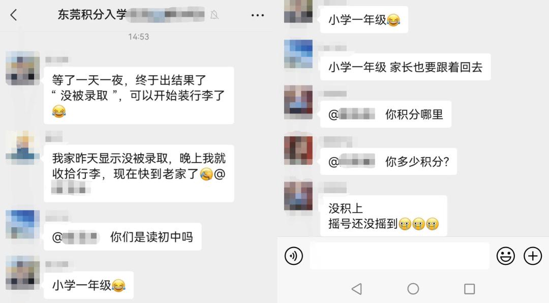 2013东莞幼升中签率,东莞初中中签率