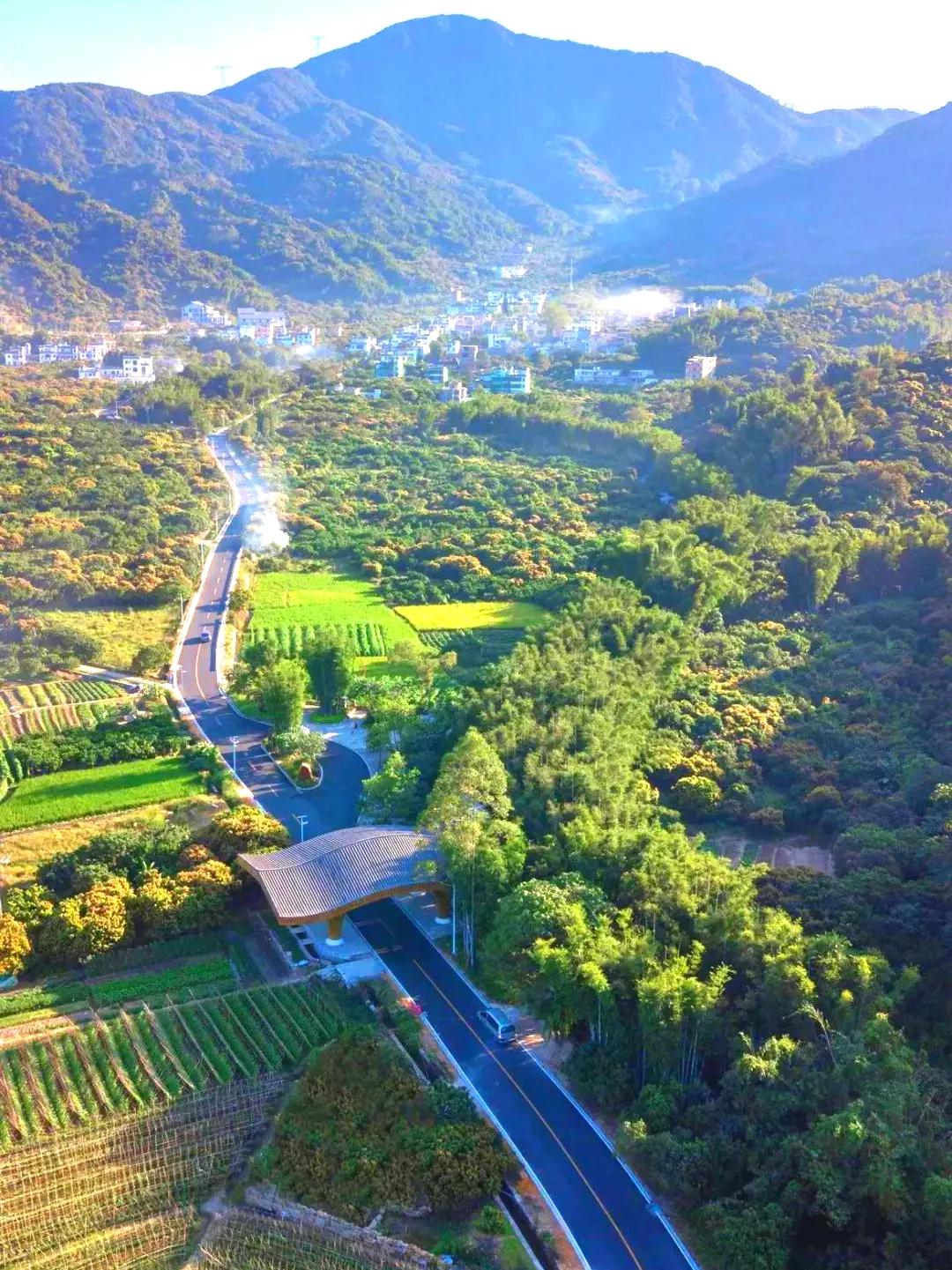 从化东成荷花园,从化摘荔枝之旅