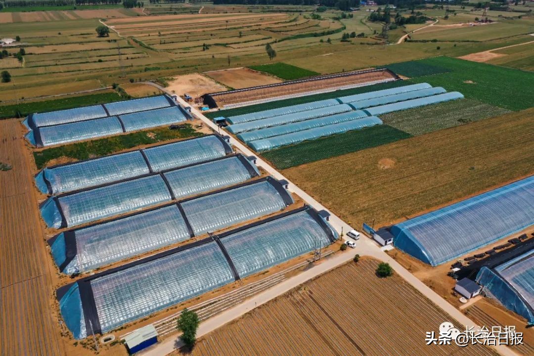 产业发展助推乡村振兴,产业振兴助推强村富民