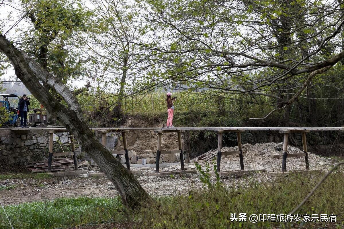 国庆黄山旅游攻略！黄山农家乐推荐！