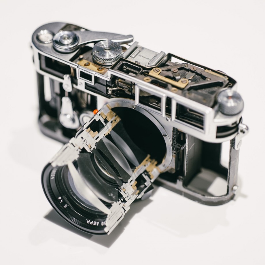 60样东西，切成一半，让你看得一清二楚