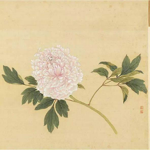 蒋廷锡牡丹画法,蒋廷锡百种牡丹画法