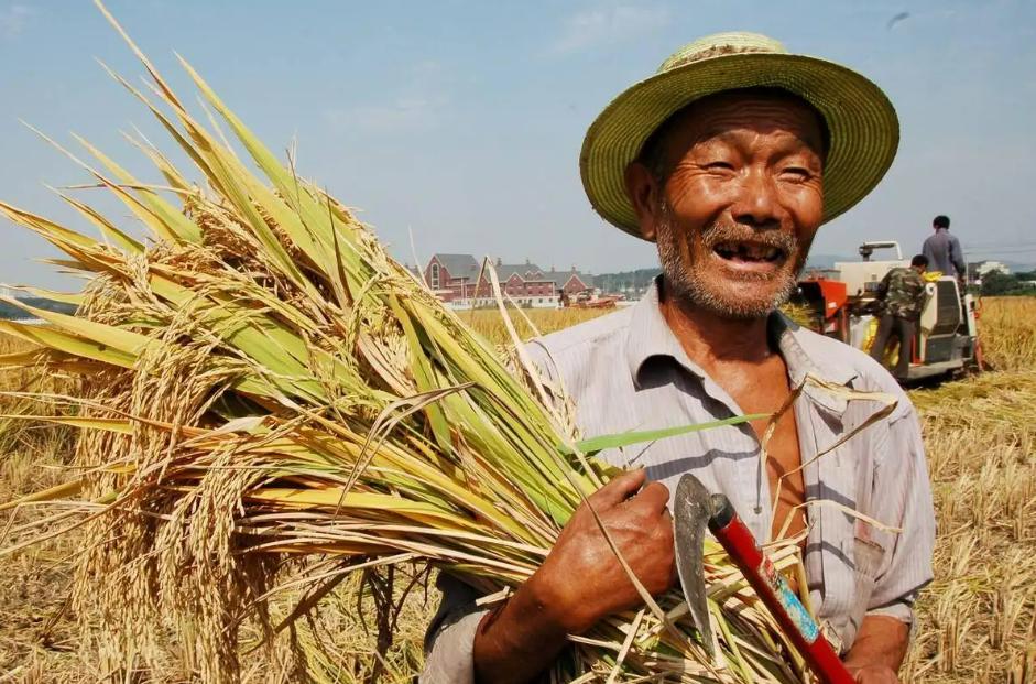 对粮农一次性发放多少补贴,怎么领取政府发放农业补贴