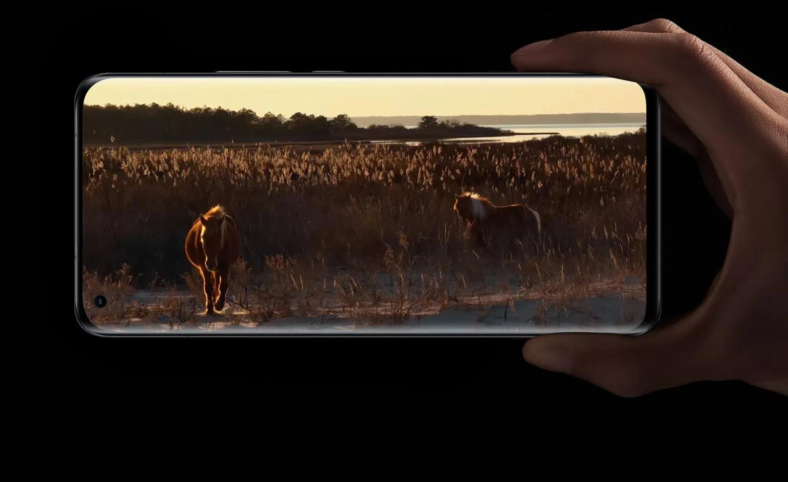 高端商务机排行,十大顶级商务机