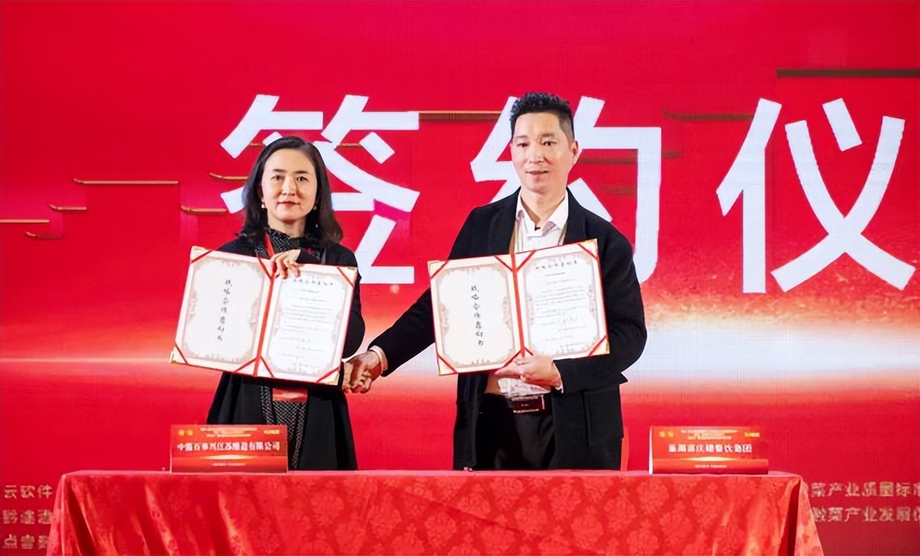 脸盆哥表演,脸盆哥的全部视频