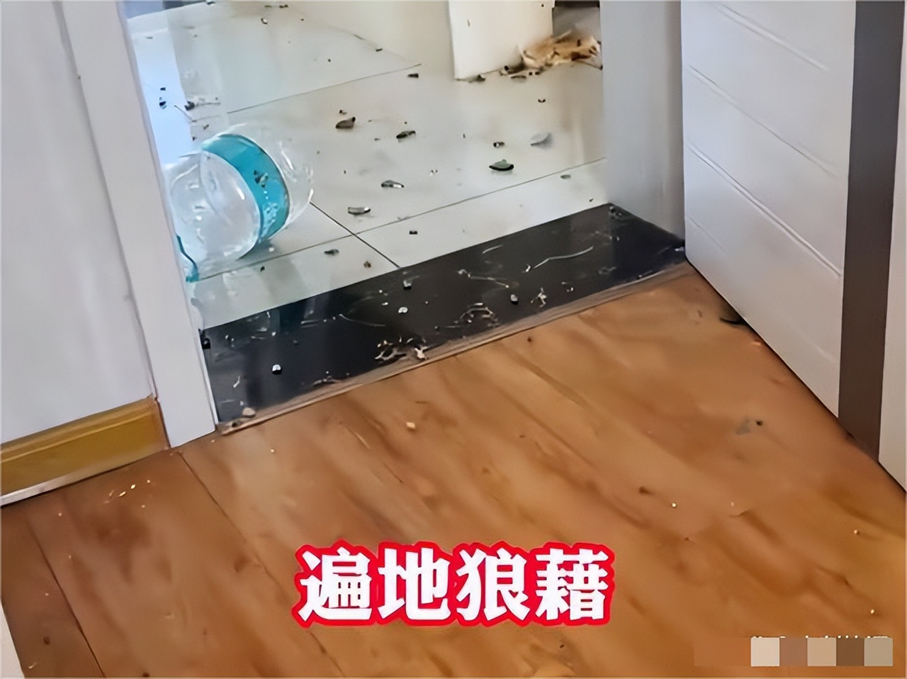 28岁孕妇遭陌生男子骚扰殴打后续,孕妇被男子殴打