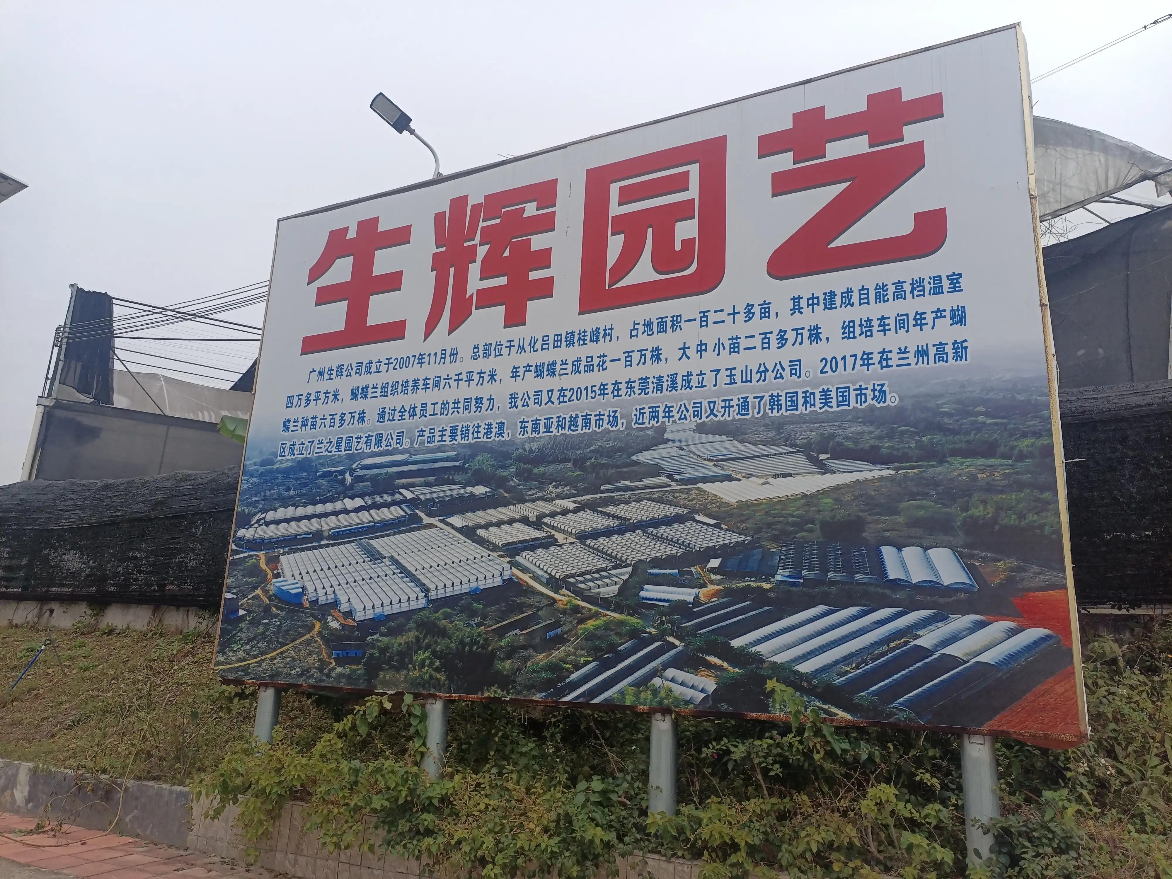 从化小杉村怎么去,从化小杉村自驾游攻略