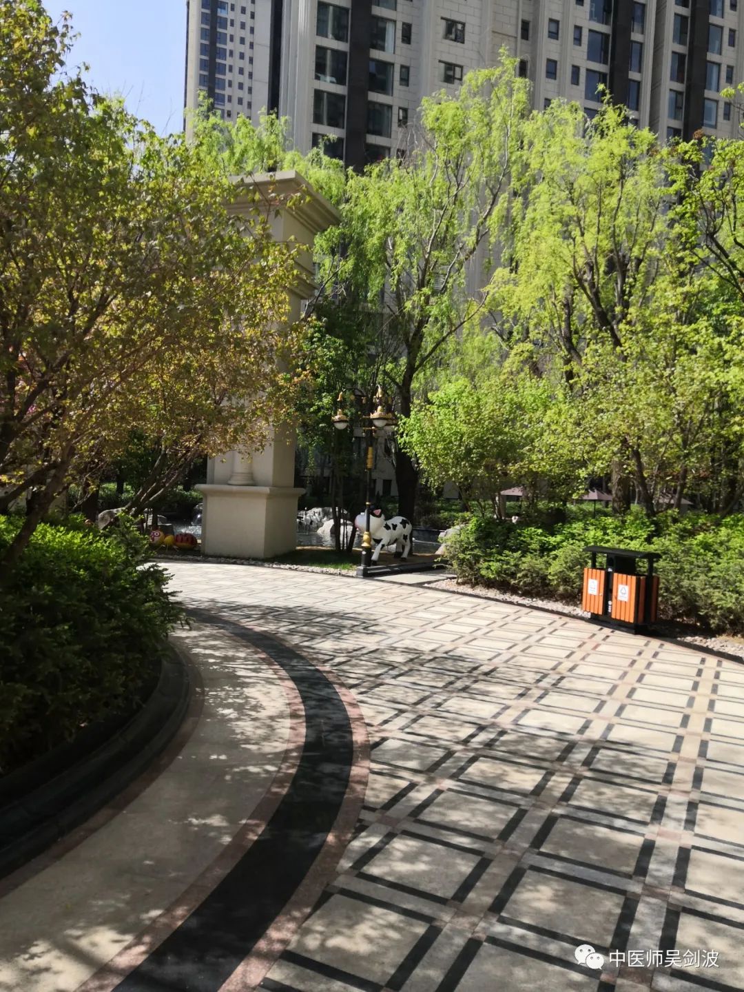 学习中药如何入门中医,自学中医中药到哪里学