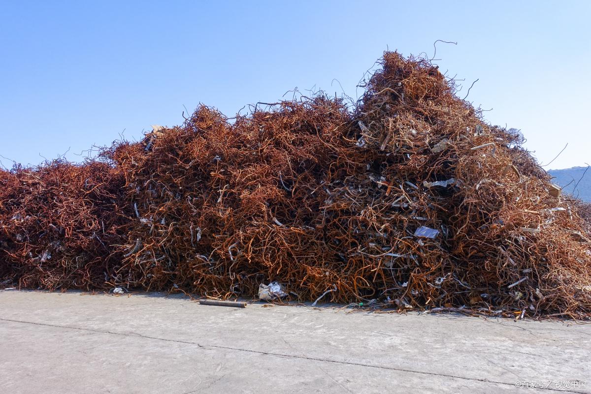 2个人做生意1个人出钱1个人出技术,2人经营什么项目