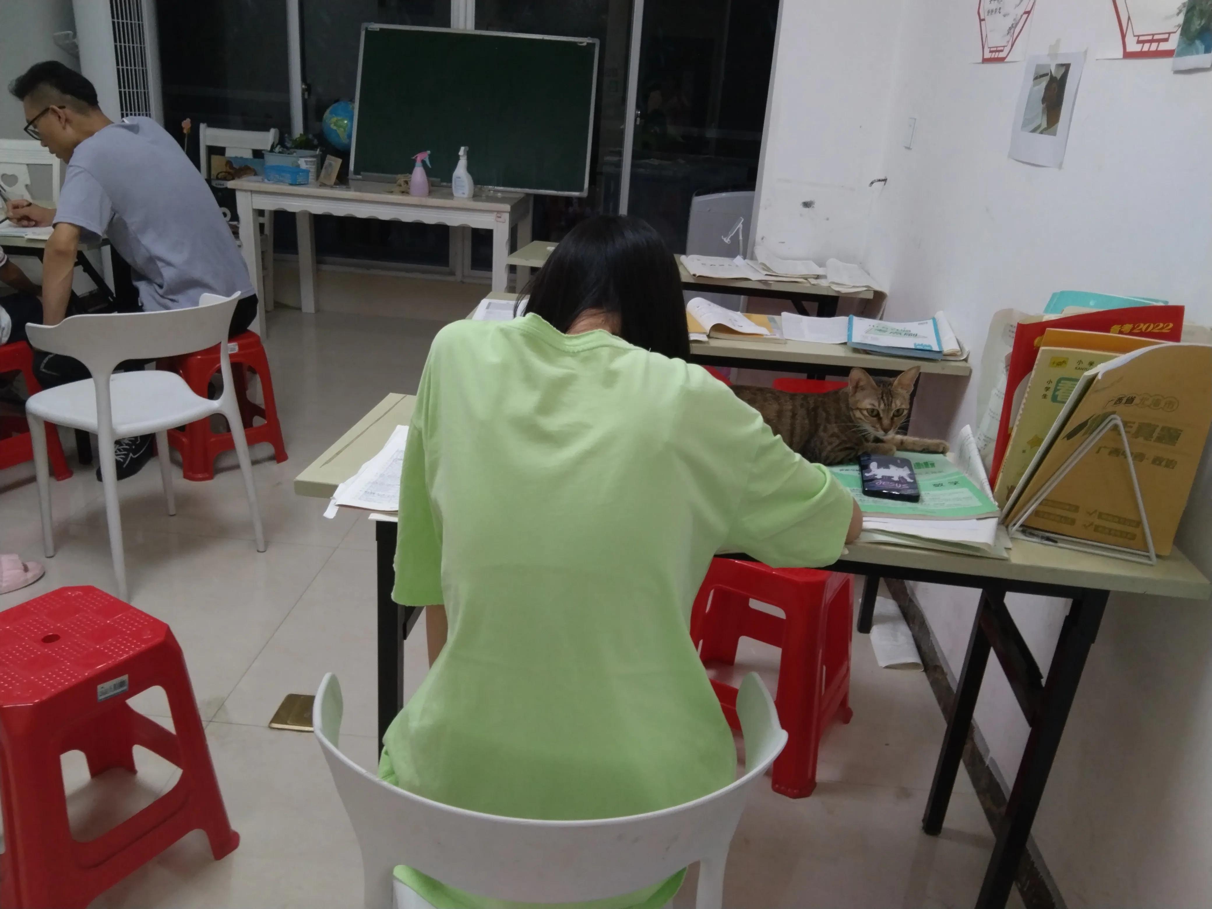 25岁的女性首次创业做什么比较好,我26岁了该做什么