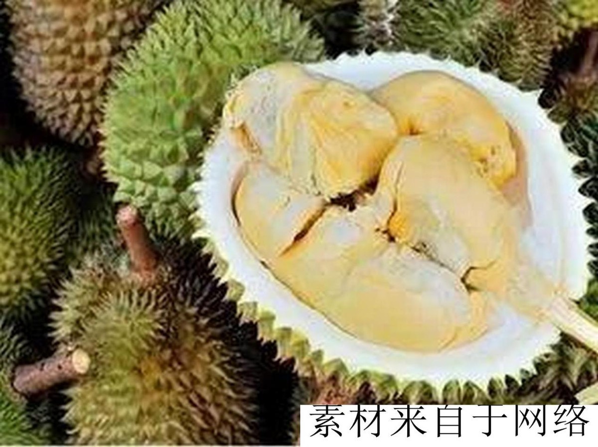 丈母娘家没有退休工资,公婆没有退休金我压力大