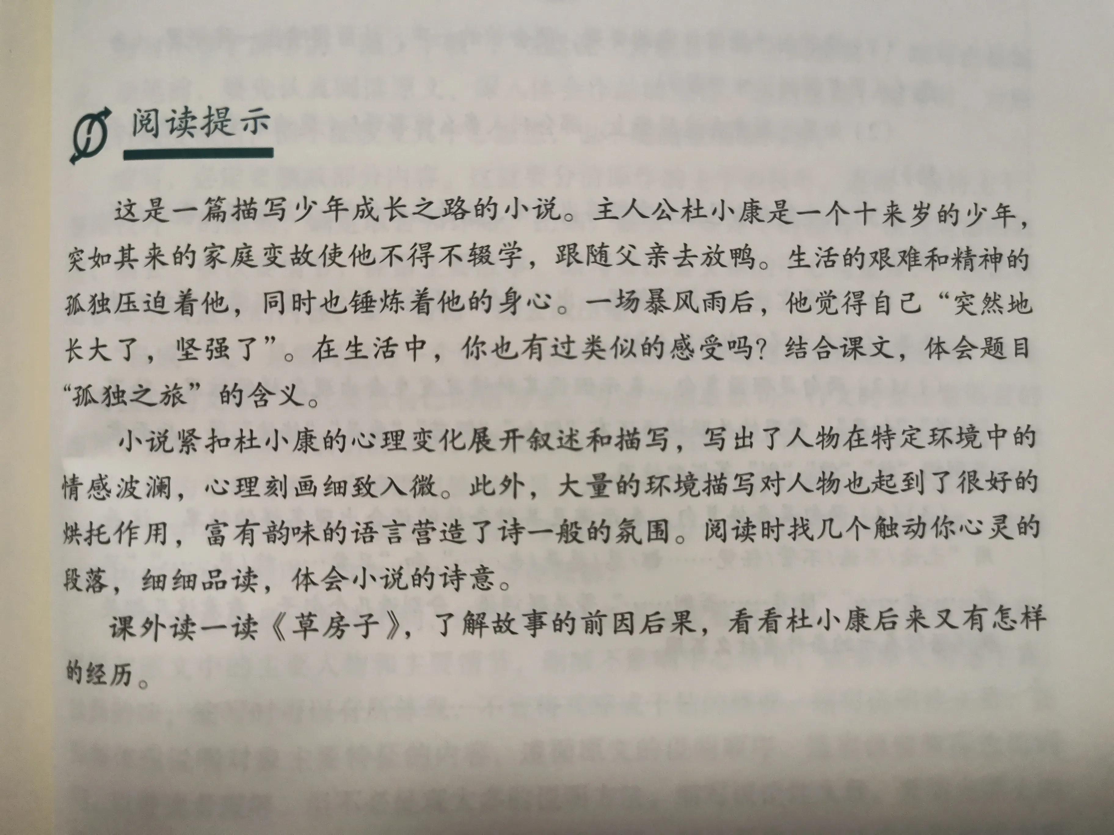 九年级语文上册课外阅读什么书,语文课外书推荐九年级上册