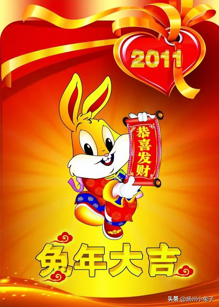 兔年相关的兔子,兔年的兔子