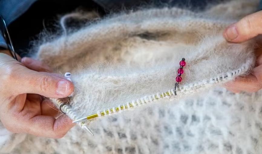 萨摩耶掉毛过程,萨摩耶铲屎官完整版