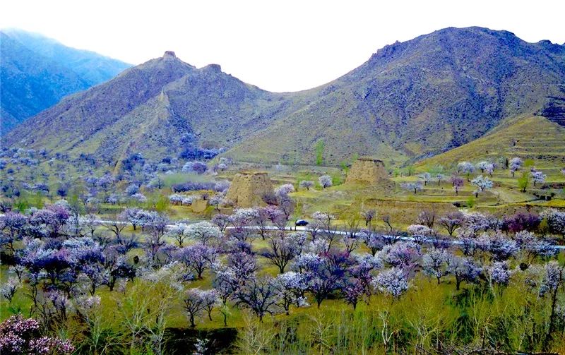 大同特色乡村旅游 (大同乡村旅游景点大全)