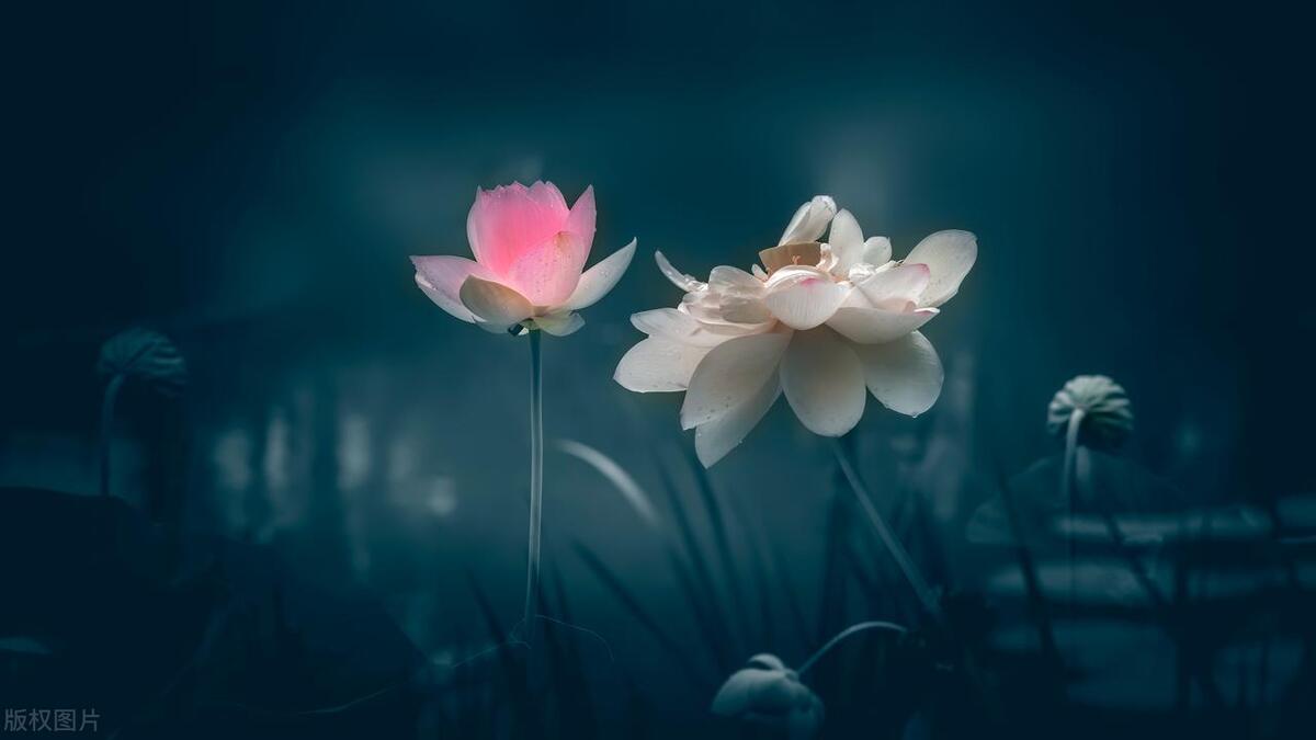 身边那些有特点的人三年级写作,身边那些有特点的人三年级作文