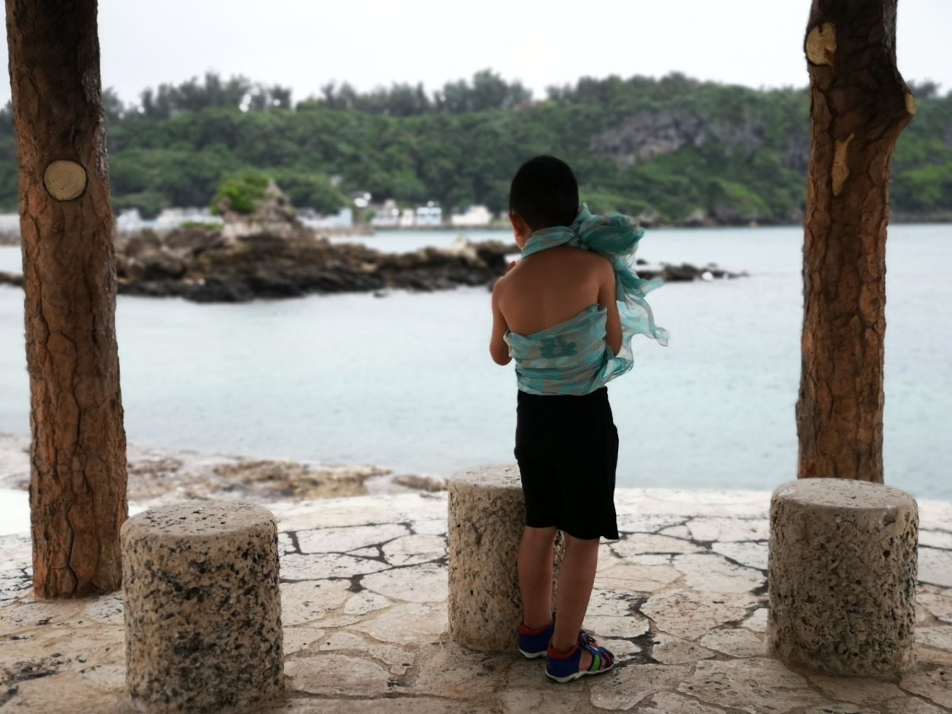 暑期档2019年,2019年暑期档