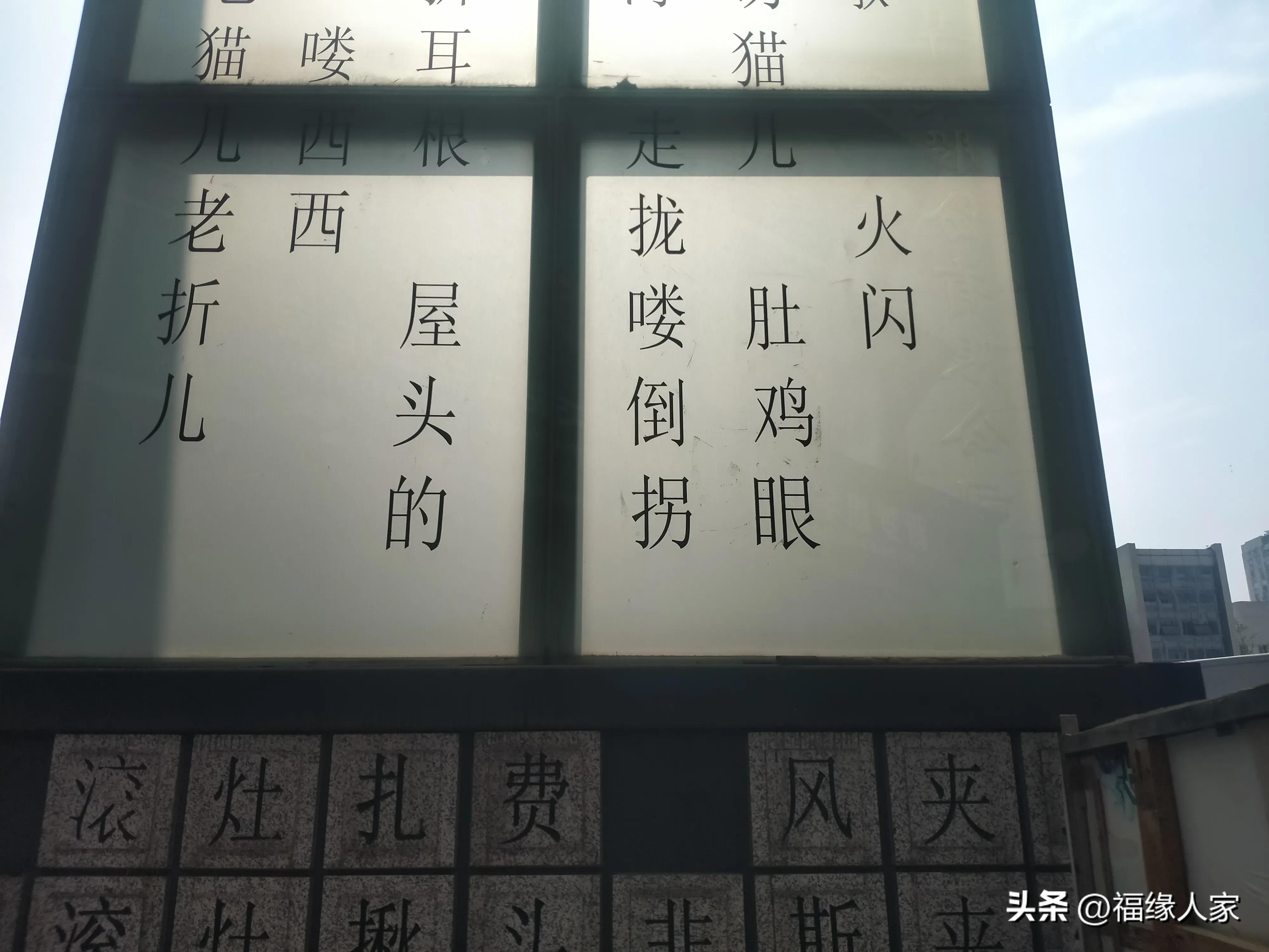 天不怕地不怕就怕蔡少芬讲普通话,什么都不怕就怕四川人说四川话