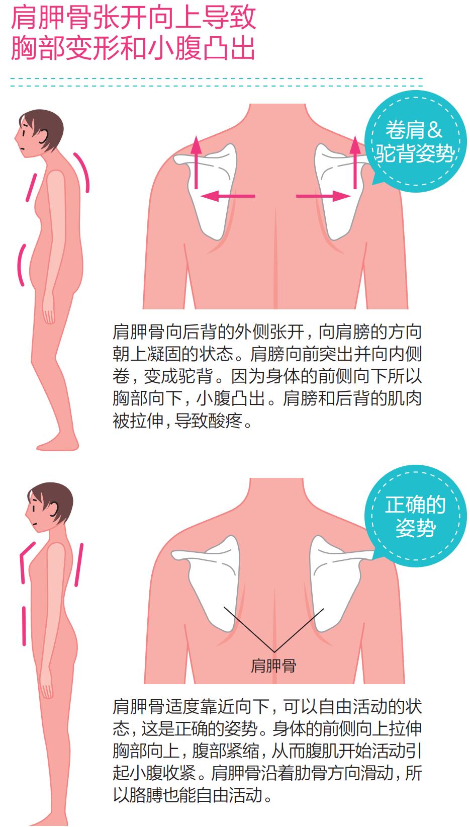 胸部赘肉很多胸部下垂该怎样调理,肥胖导致胸部下垂怎么恢复