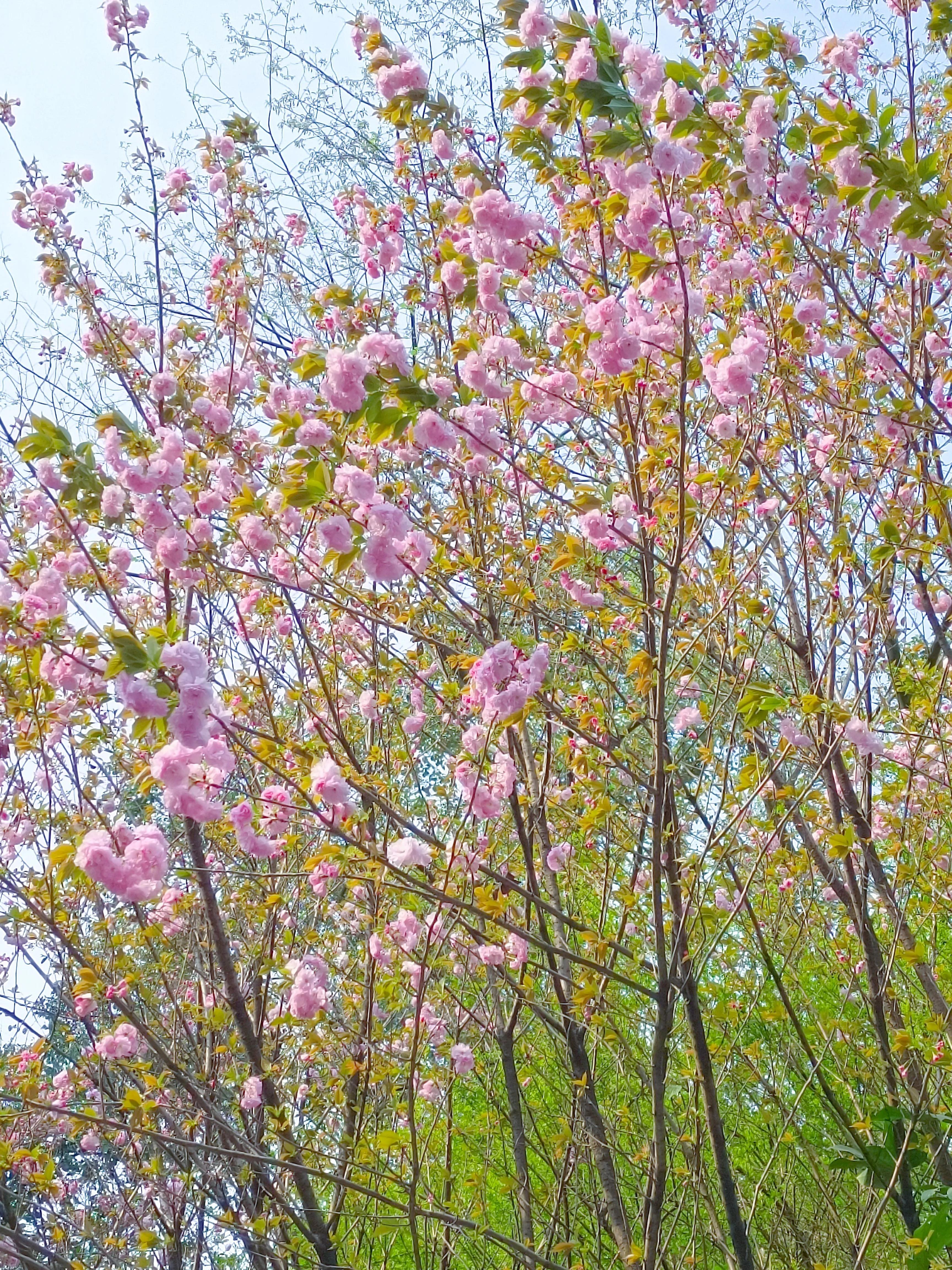 西南财经大学天府学院什么专业好,西南财经大学天府学院是什么档次