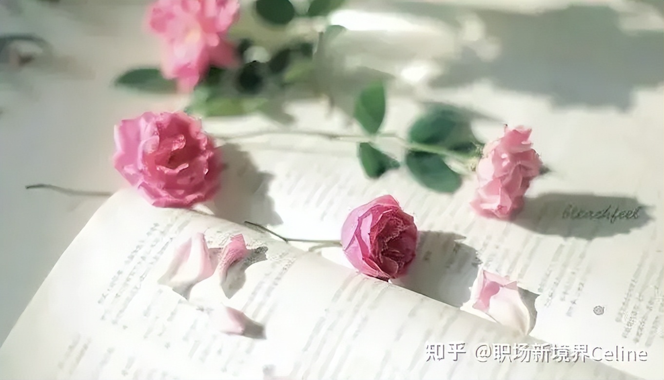 【职场成功指南】只有彻底搞懂多巴胺，才能突破职业发展天花板