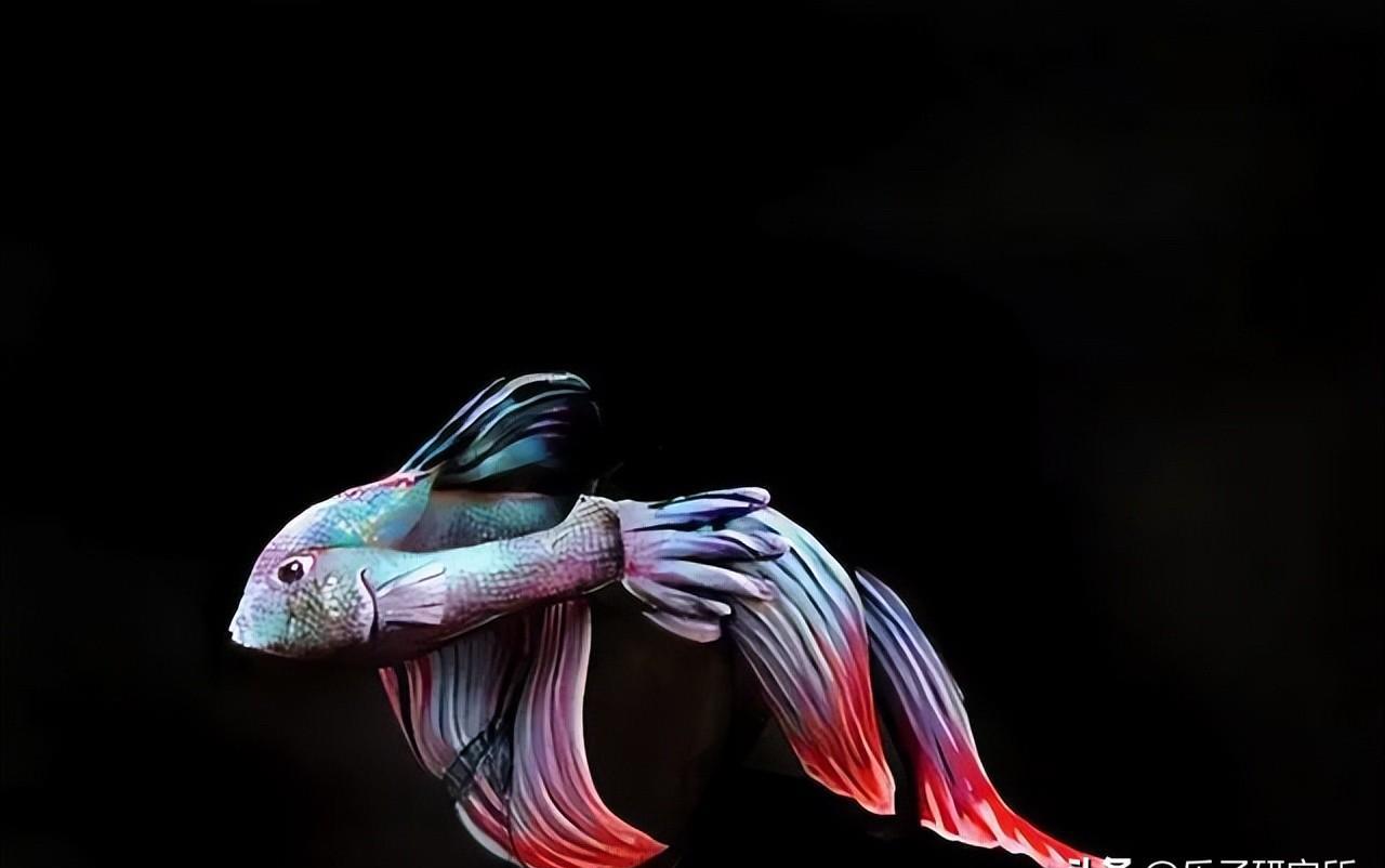 魅力绽放！探索人体艺术的绝美之处