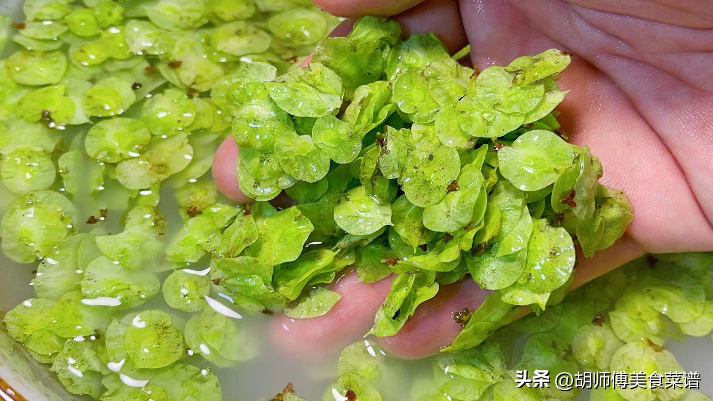 安神助眠的中药吃多长时间有效,安神助眠的西药长期吃