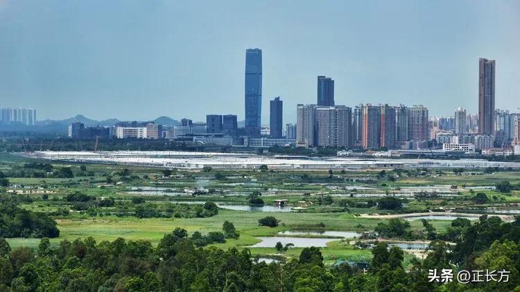 源源活水深圳河!(二)