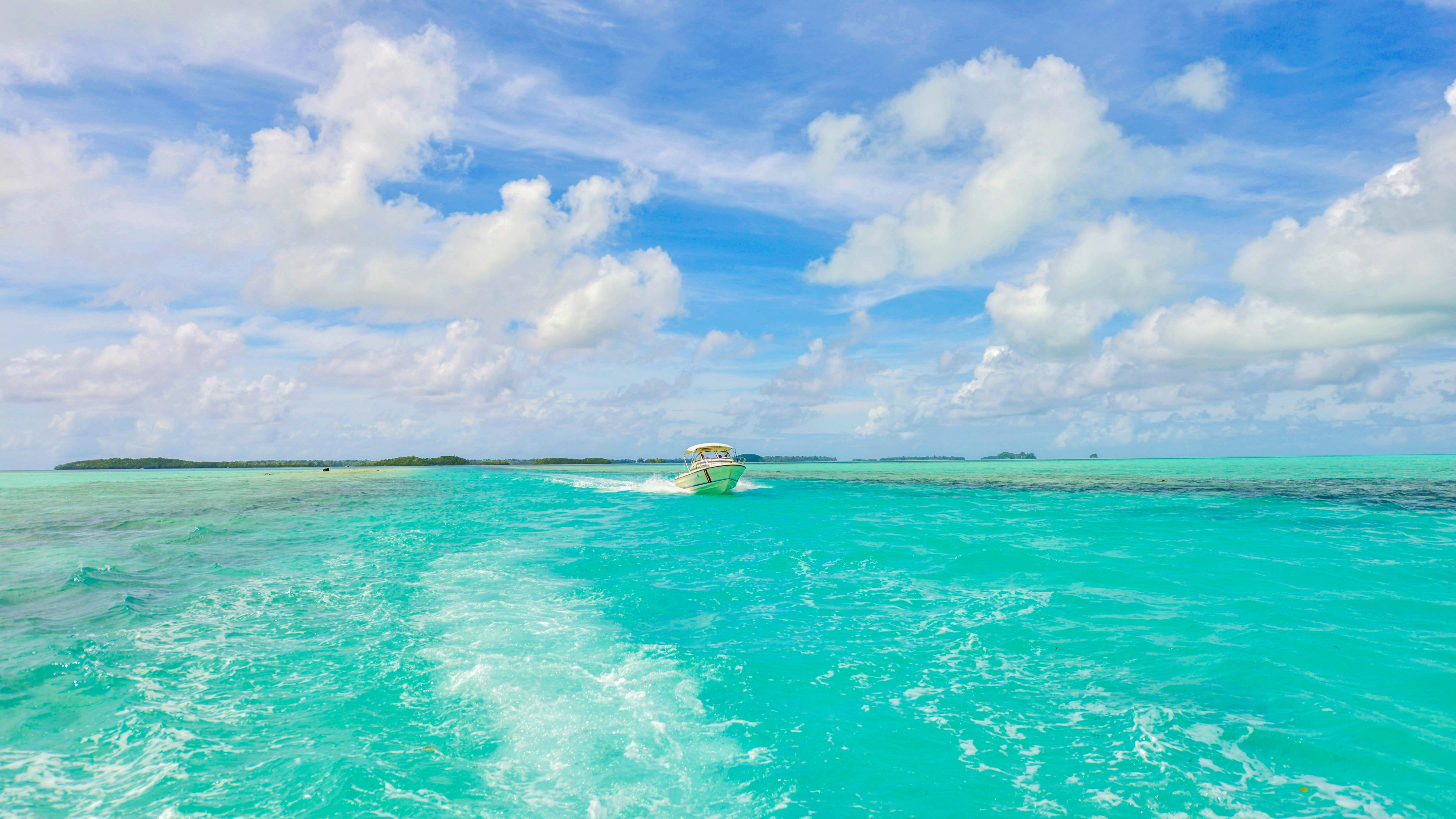 孤悬在太平洋上的岛国，帕劳，人生最值得一去的旅游目的地之一