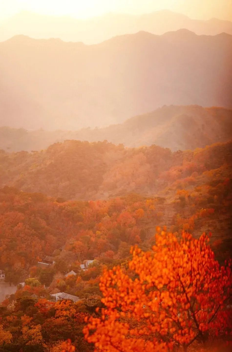 一入秋北京就变成了北平原文,一入秋北京就成了北平是谁说的