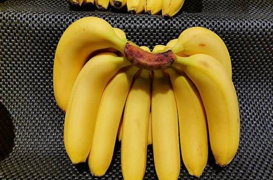 30年后再也吃不到香蕉了?科学家称香蕉“濒临灭绝”,是真的吗?