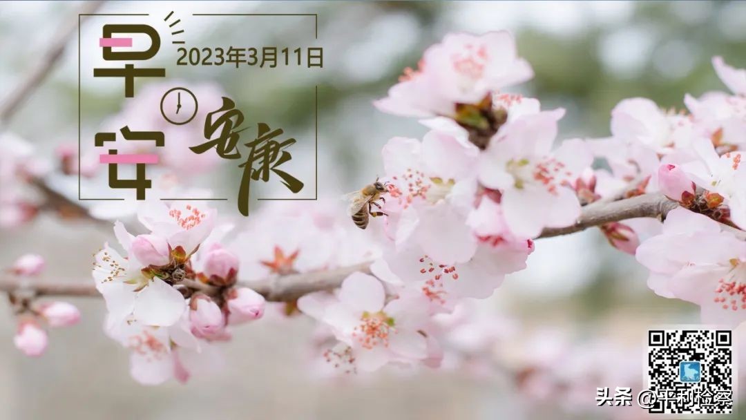 宁陕县通过国家县域义务教育优质均衡发展省级评估验收；汉滨区将举办系列茶事文化活动（2023.3.11）