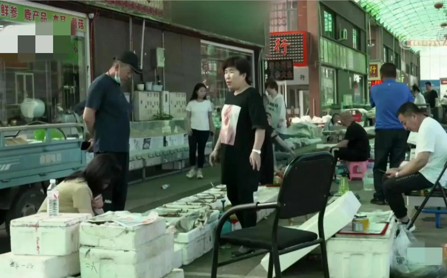 山地果园种林下参合法吗,山林地出租种林下参多少钱一亩