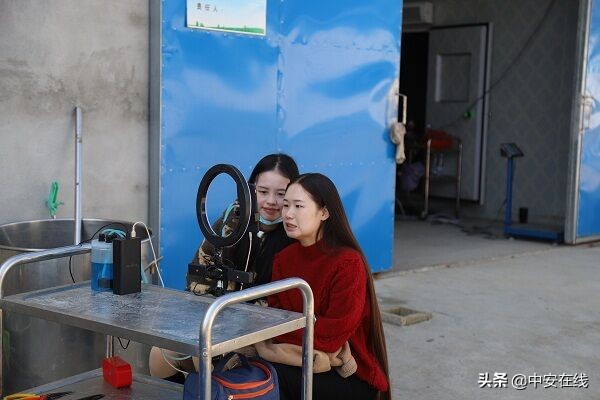 太湖县电商龙头企业,安徽太湖电商