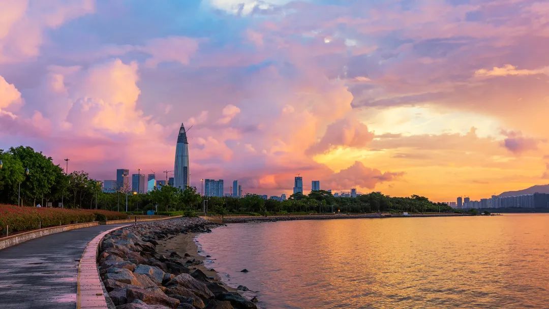 “别的区猪脚饭,南山区保时捷”,南山成了流调天花板?